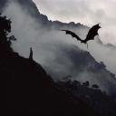 Kornosola ꒰♥꒱꒰´͈ॢદॢˋ͈♡꒱ Icon