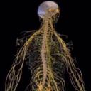 Mostly Motely (21+) Icon