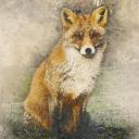 Social Networking Hub Icon