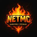 NetMc Icon