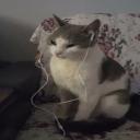 Infinite Playgrounds Icon