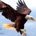 On the Wings of an Eagle Icon