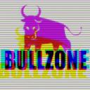 Bullzone Investors Icon