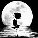 MoonRose🥀 Icon