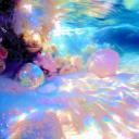 ━━━━⊱🌊𝙏𝙝𝙚 𝙍𝙚𝙚𝙛🐬⊰━━━━ Icon