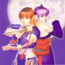 Dead Or Alive: FINAL ROUND Icon