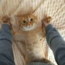 The New Order (18+) Icon