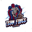 Team Force Gaming Icon