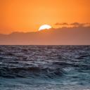 Revival: Nofap Community Server Icon