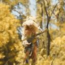 🪕🌾 𝐘𝐀𝐄𝐋𝐎𝐊𝐑𝐄 𝐅𝐀𝐍𝐒 Icon