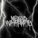 Nexus Community Icon