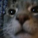 gripper enjoyer Icon