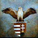 Vasfüggöny Légió Icon