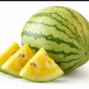 Nutplugs server Icon