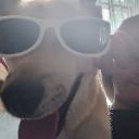 PG Boss's server 3 Icon