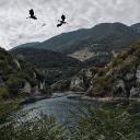 Aphmau: Minecraft Diaries | Role Icon