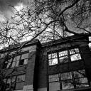 The Walking Dead 101 Icon