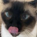 ✞ sɪʟʟʏ ʙɪʟʟʏ ᴄᴇɴᴛʀᴀʟ ✞ Icon