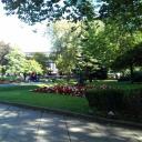 Stop Smoking / Drinking Alcoho Icon