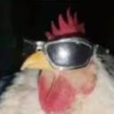 +*SERVER CHAT+*{meet new people} Icon