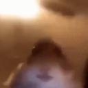 Chilled storage Icon