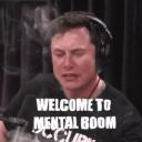 Mental Boom Icon