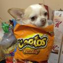 Supreme Dank Dreme Teme Icon