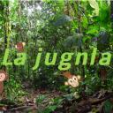 ✌𝓛𝓪  𝓙𝓾𝓷𝓰𝓵𝓪✌ Icon