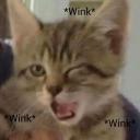 junes emoji server Icon