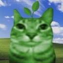 meowers Icon