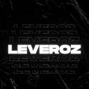 Leveroz Icon