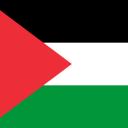 Palestine Pixel🇵🇸 Icon