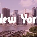 Concrete Jungle: New York City Icon