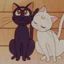 Cats MatchMaking Icon