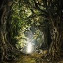 The Veiled Grove Icon