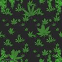 The Blunt Rotation🍃💨 Icon