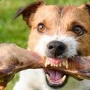 Provablyfair.be Icon