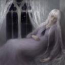 Animais Noturnos Icon