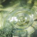 Fields of Rosemary Icon