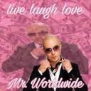 mr worldwide Icon