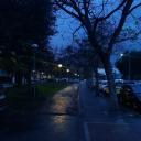 ♡𝑻𝑯𝑬 𝑳𝑼𝑵𝑨𝑹 𝑪𝑶𝑼𝑹𝑻 ♡ Icon