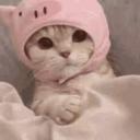 Cσɱϝყ Cσɳɳҽɾ Icon