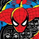 Spider-Man's Amazing Alma Mater Icon