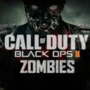 Black Ops Zombies Legit France Icon