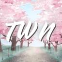 The Wok Network Icon