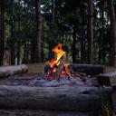 The Cozy Campfire Icon