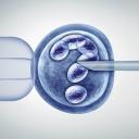 Embryos of Hope Donation Icon