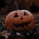 the pumpkin patch | 18+ Icon