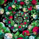 Hypno Wonderland Icon