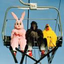 The Random Place Icon